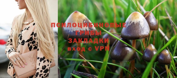 ГАЛЛЮЦИНОГЕННЫЕ ГРИБЫ Армянск