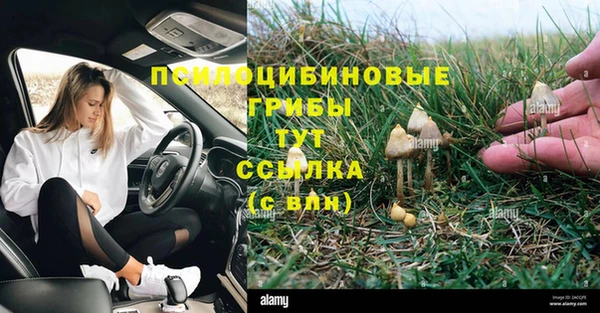 прущие крисы Аркадак