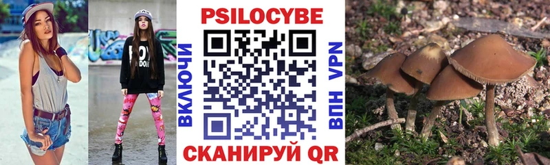 mega зеркало  Сураж  Галлюциногенные грибы Psilocybine cubensis 