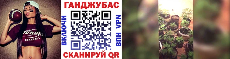 Марихуана White Widow Сураж